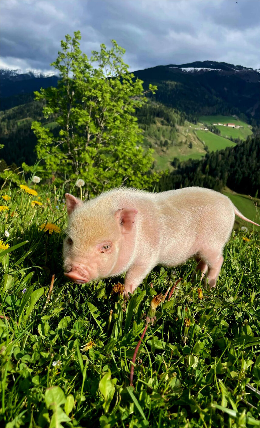 2_PHOTO-2025-10-26-14-43-41_5_